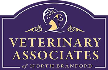Veterinary Associates of North Branford