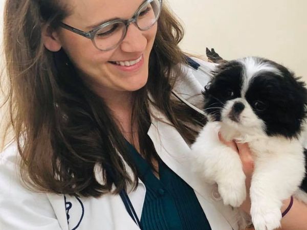 doctor with the puppy